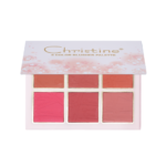 Christine Palette blusher 6 colors NO: A CH-B2202